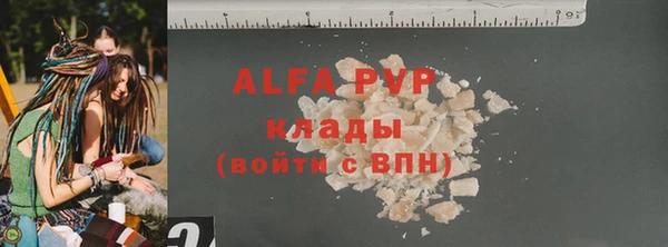 Альфа ПВП Горняк