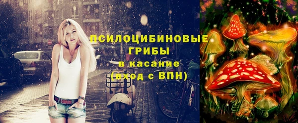 спиды Гусев