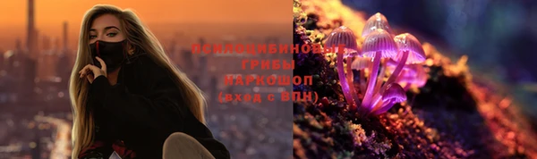 гашик Горно-Алтайск