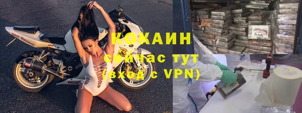 спиды Гусев
