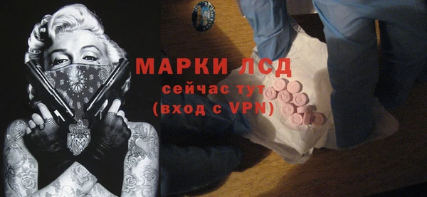 мяу мяу мука Тутаев