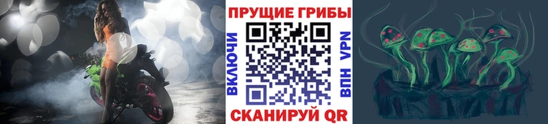 OMG рабочий сайт Пестово Псилоцибиновые грибы GOLDEN TEACHER закладка